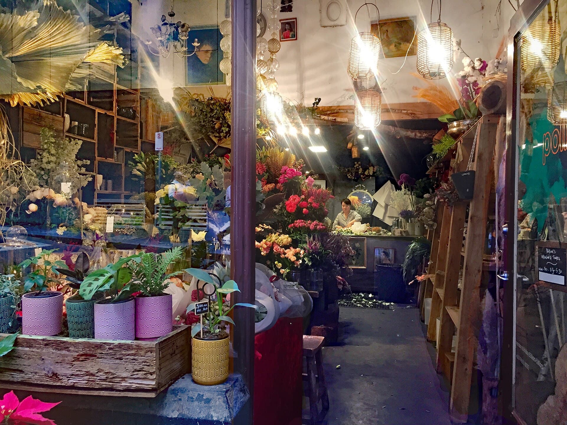 Interior de una floristería al anochecer, lleno de plantas y flores en macetas